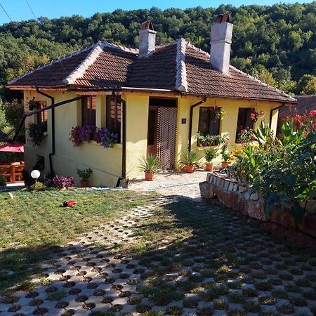 Guest House „Ivanovata House” Yanovets 외부 사진